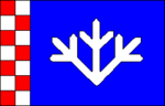 Флаг волости Падизе