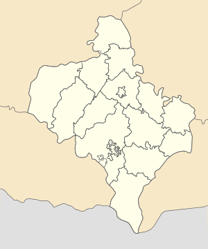 Будзин (Ивано-Франковская область)
