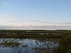 Long Point Marshes 2.jpg