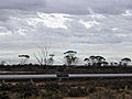 Goldfields-Pipeline 2005.jpg