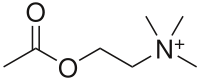 Ацетилхолин: химическая формула