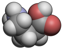 Гамма-аминомасляная кислота: вид молекулы