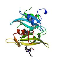 PBB Protein SRC image.jpg