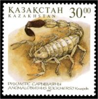 Stamp of Kazakhstan 192.jpg