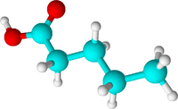 Валериановая кислота: вид молекулы