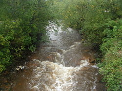 Река Куин в Куинстауне