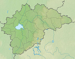 Большая Вишера (река) (Новгородская область)