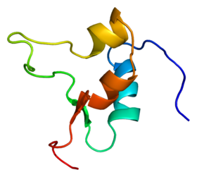 Protein IGF2 PDB 1igl.png
